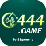 C444 Game