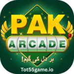 PAK Arcade Game